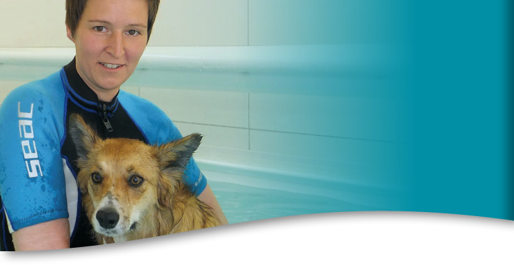 Hunde in der Physiotherapie, Physiotherapie für Hunde. Schmerzanzeichen und Lebensqualität. Vorsorge für Ihr Tier