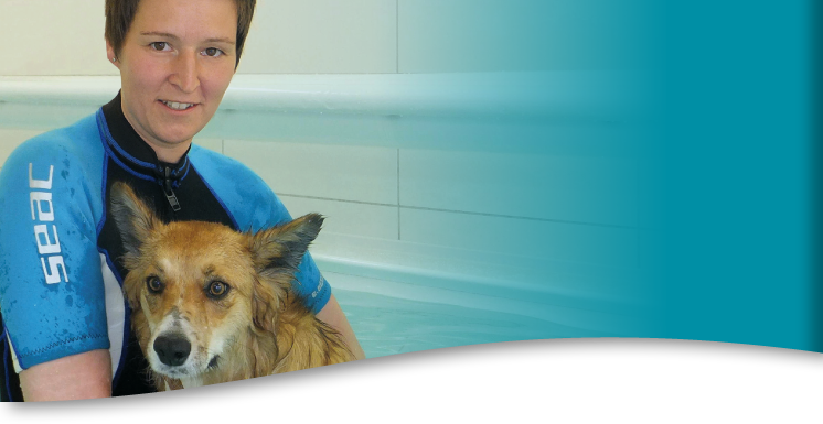 Hunde in der Physiotherapie, Physiotherapie für Hunde. Schmerzanzeichen und Lebensqualität. Vorsorge für Ihr Tier Hunde in der Physiotherapie, Physiotherapie für Hunde. Schmerzanzeichen und Lebensqualität. Vorsorge für Ihr Tier
